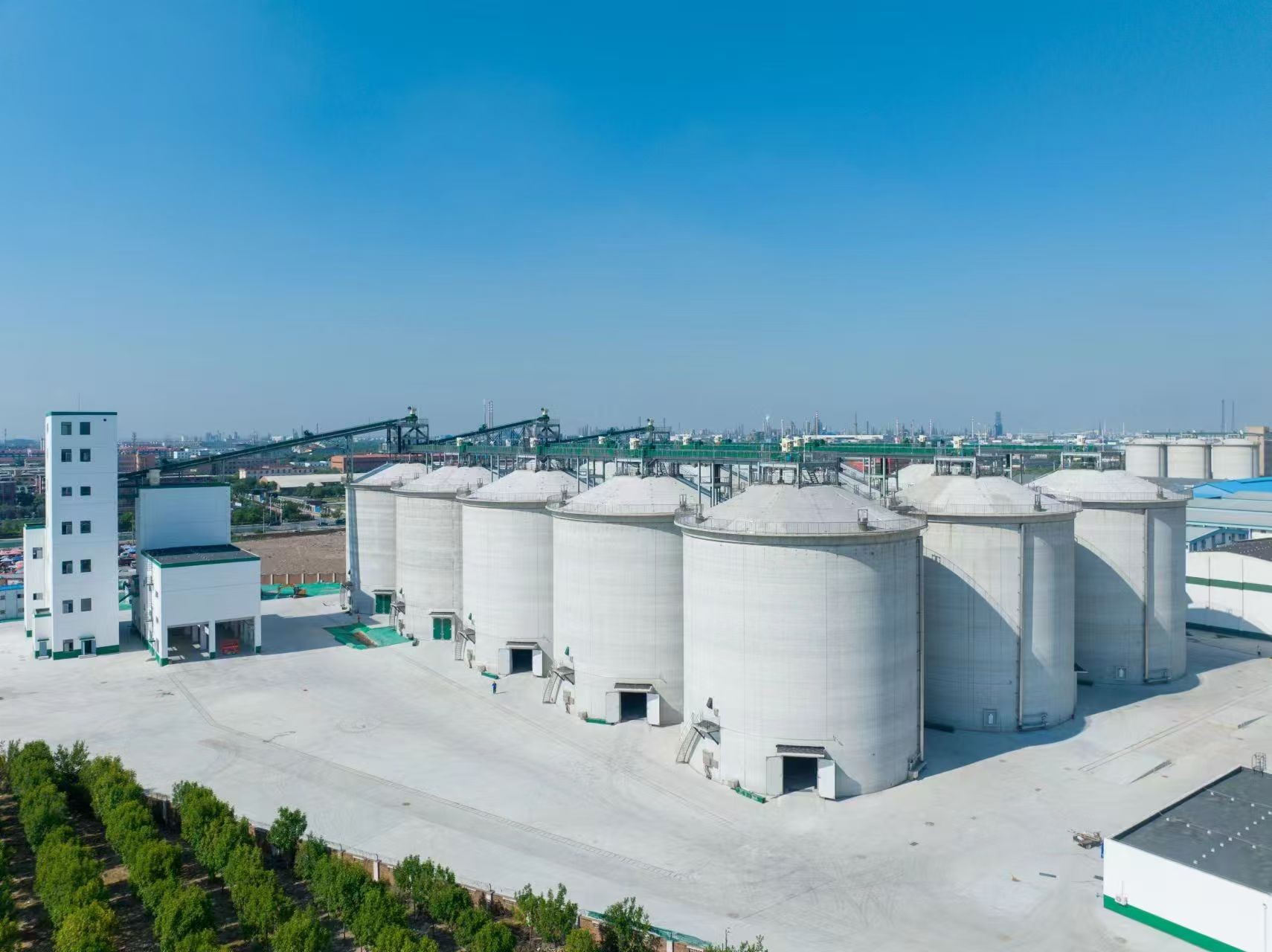 大直径浅圆仓薄壁混凝土滑模施工技术